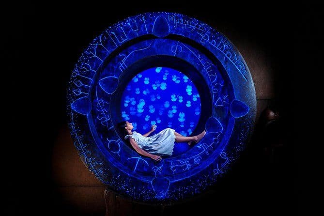 Billets pour The Lost Chambers Aquarium de Dubaï