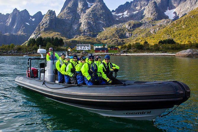 Excursion d'observation des oiseaux au Trollfjord depuis Svolvær