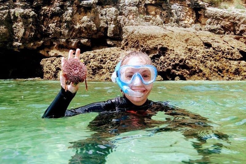 Excursion de snorkeling à Arrábida depuis Lisbonne