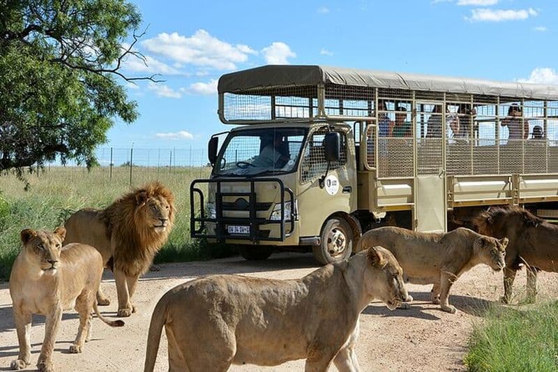 Billets pour le Lion and Safari Park à Pretoria