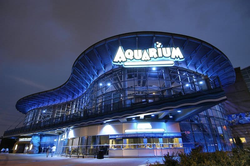 Billets pour l'aquarium du centre de Denver