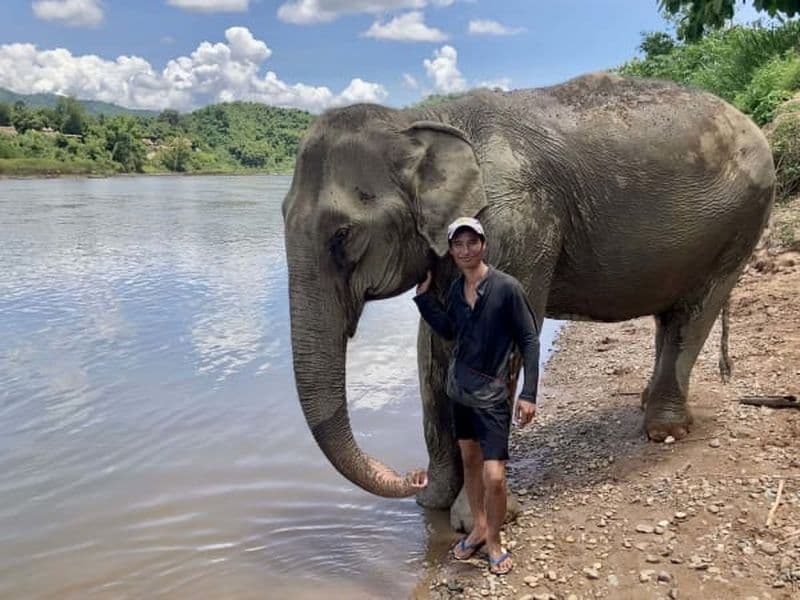 Excursion d'une journée de randonnée thérapeutique avec éléphants depuis Luang Prabang