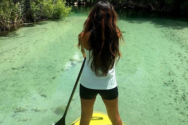 Balade en paddle surf dans les mangroves de Miami