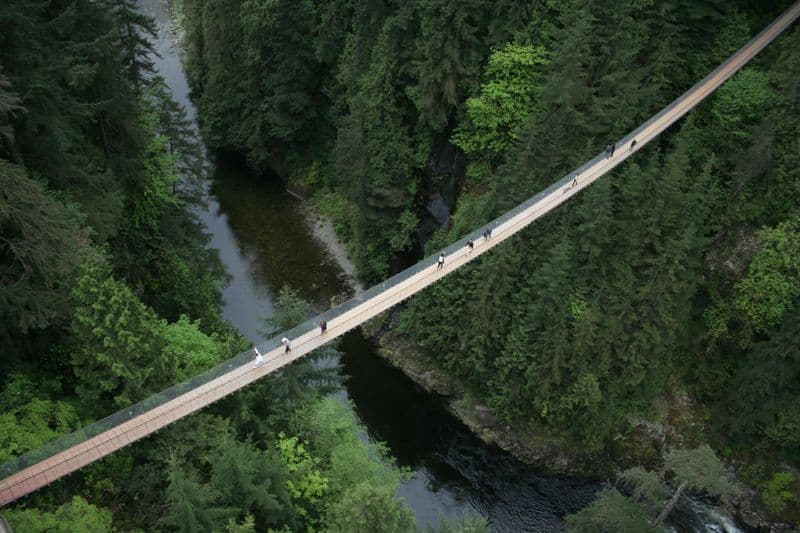 Tour en bus à Vancouver avec billets pour le pont suspendu de Capilano