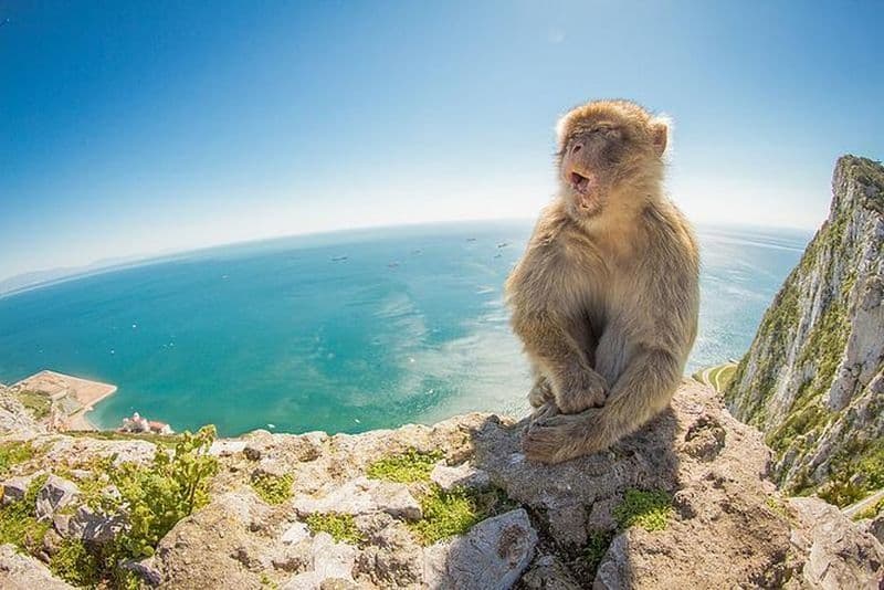 Excursion en petit groupe à Gibraltar depuis Séville