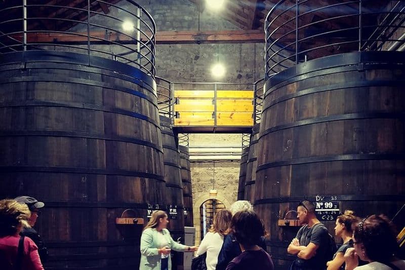 Visite de caves à vin d'une demi-journée dans la région de Madrid