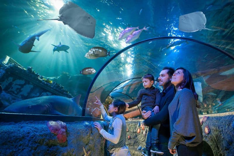 Billets pour Sea Life Gardaland à Castelnuovo del Garda