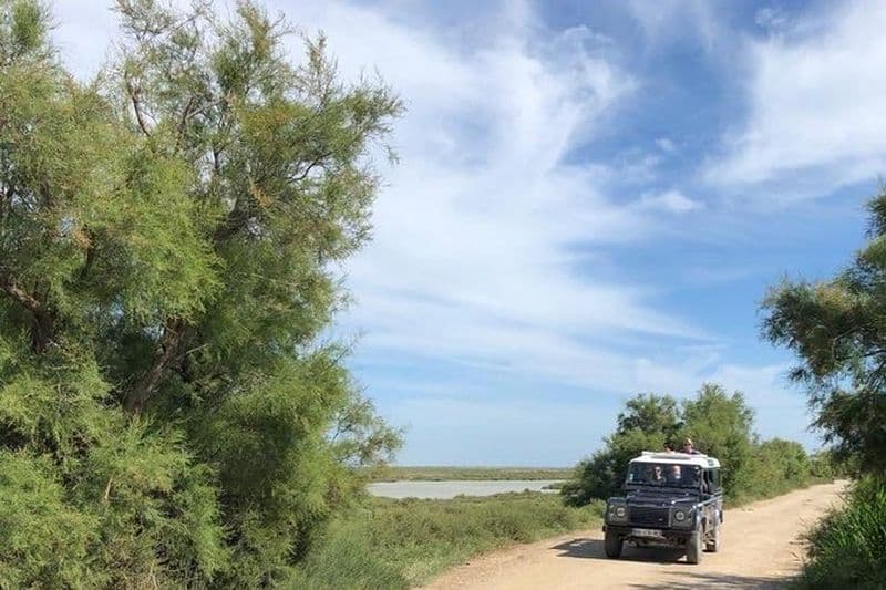 Tour en jeep dans le Parc Naturel Régional de Camargue à Arles