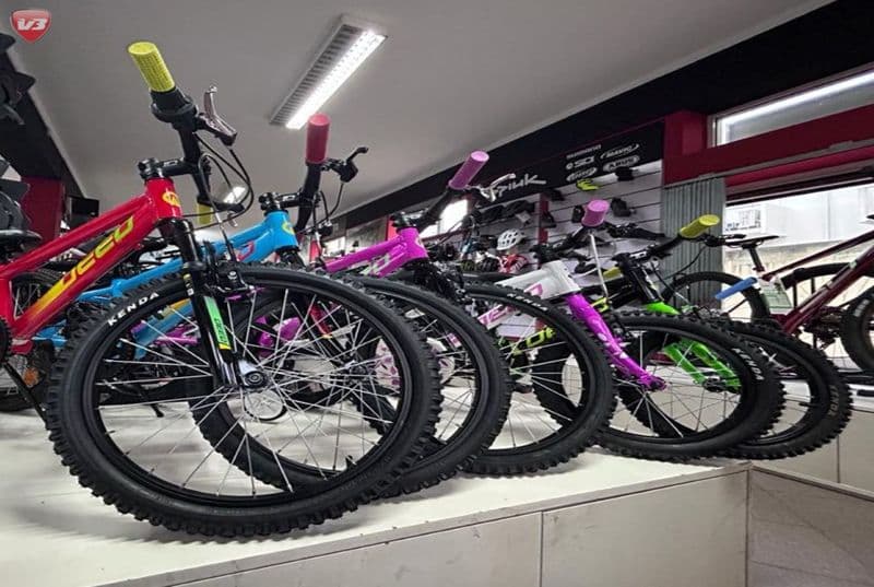 Location de vélos chez Viabike