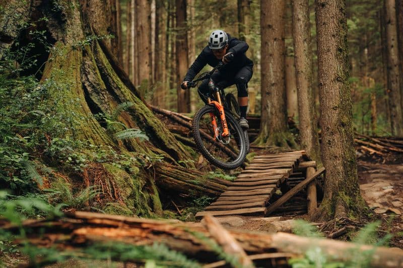 Location de vélos chez Teddy Bike