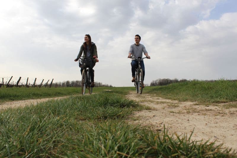 Location de vélos chez L'Heureux Cycle