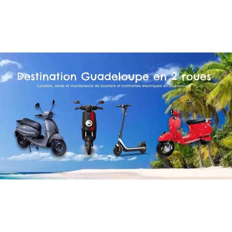 Location de vélos chez Zero Fuel