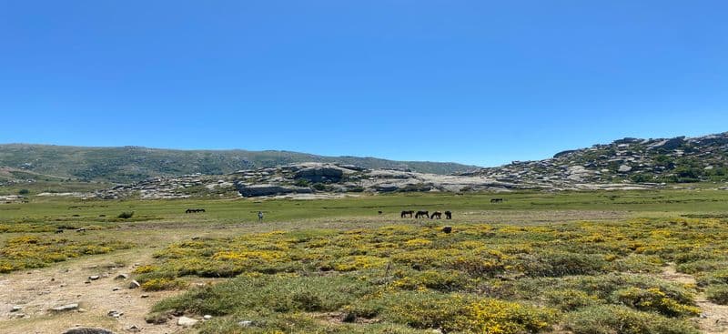 Location de vélos chez B&S bike
