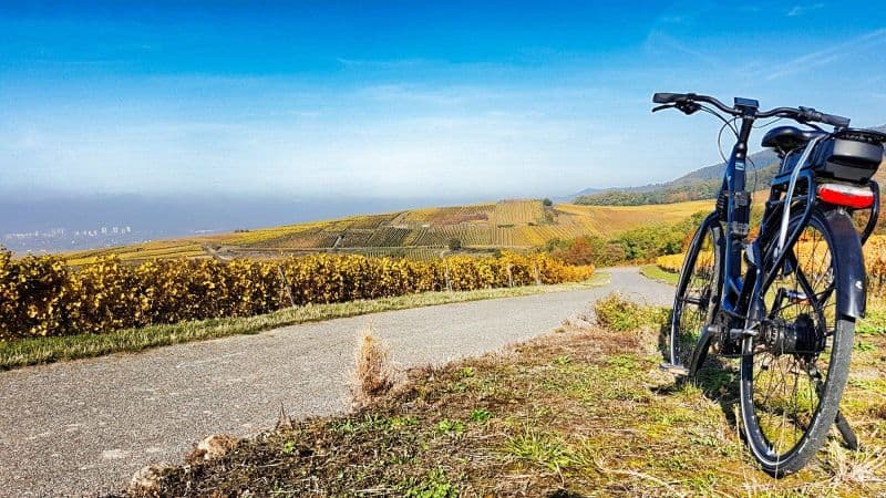 Location de vélos chez Alsa Cyclo Tours Eguisheim