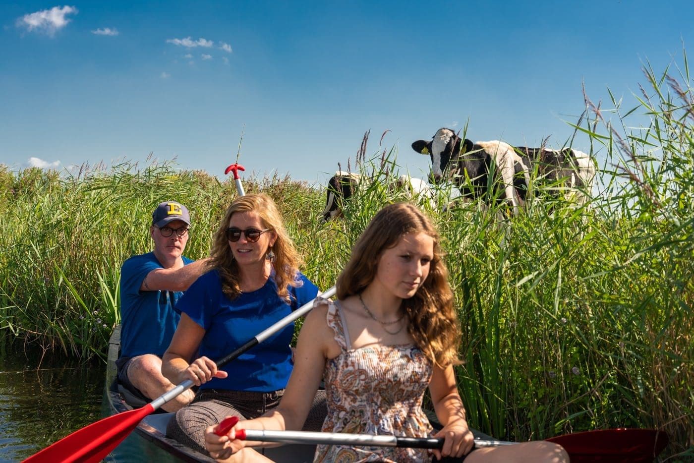 Visite guidée en canoë dans les marais proches d'Amsterdam