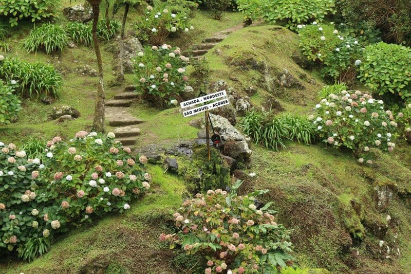 Excursion d'une journée en jeep à la déroute Nordeste en 4x4 tout-terrain