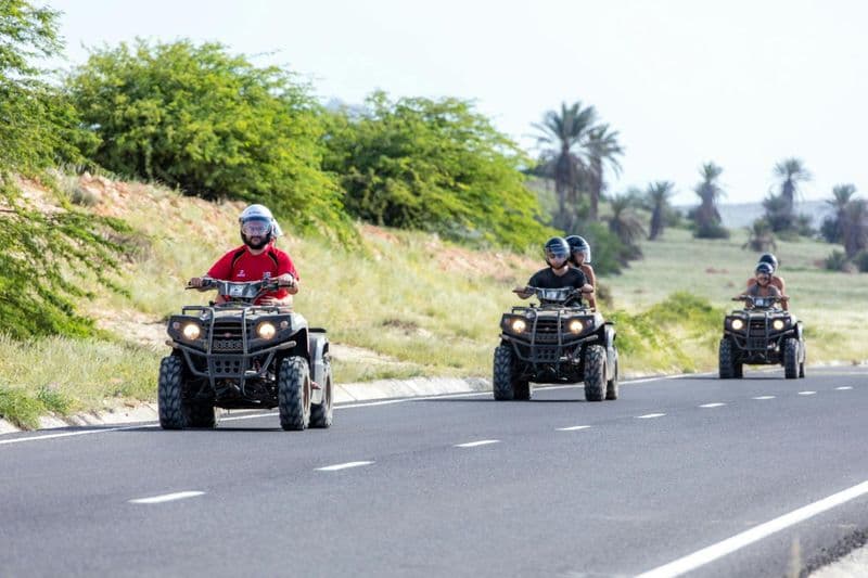 Billet Demi-journée de safari en quad en Crète au départ de Malia