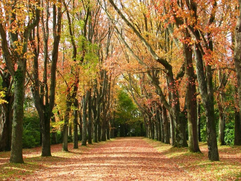 Entrance tickets to Serralves Park in Porto