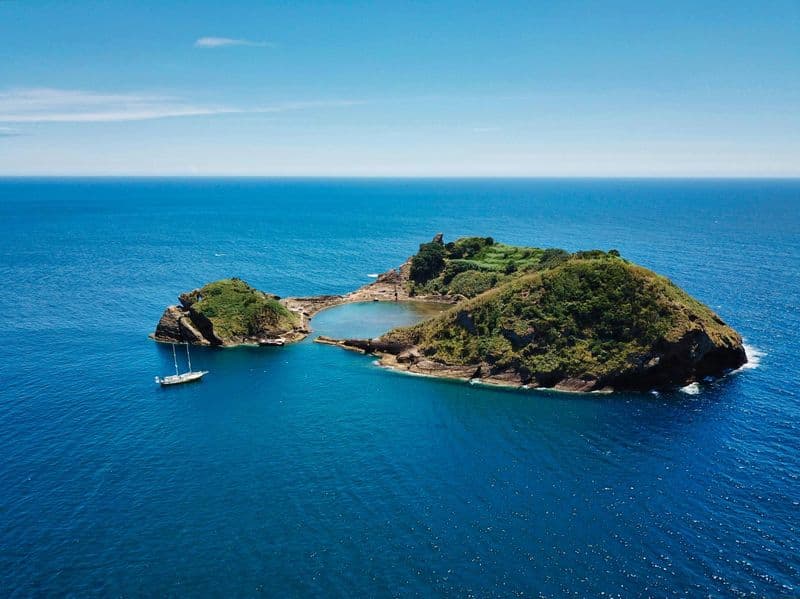Croisière d'observation des baleines et des dauphins avec déjeuner