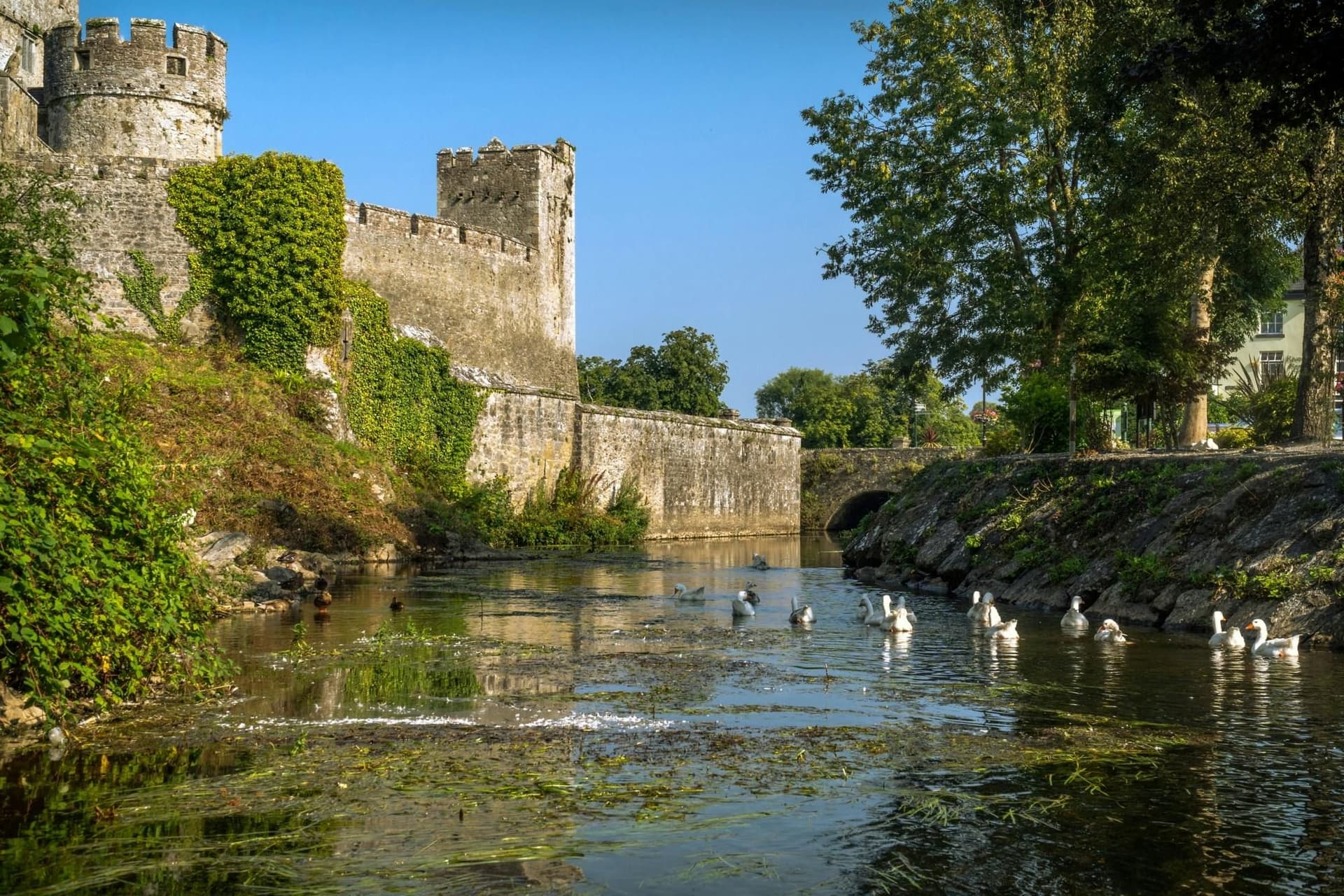Visite des châteaux de Blarney, Rock of Cashel et Cahir au départ de Dublin