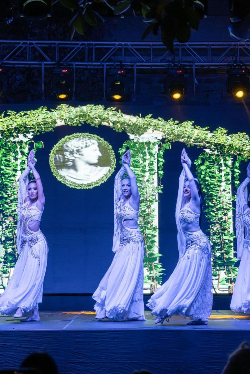 Billet pour le spectacle de danse turque "Le feu de l'Anatolie" d'Ozdere