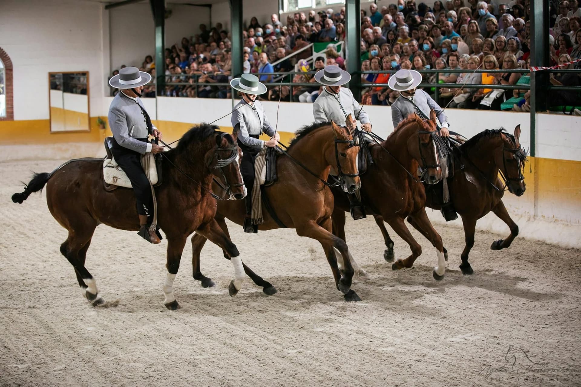 Spectacle de chevaux andalous et de flamenco avec dîner à Malaga