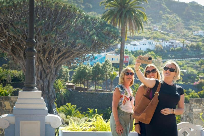 Billet Visite au nord-ouest avec transport : Les secrets gardés de Tenerife