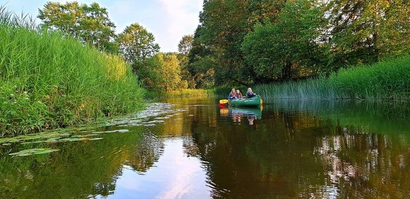 Excursion guidée d'une journée dans la nature, y compris le ferrage des tourbières et le canoë