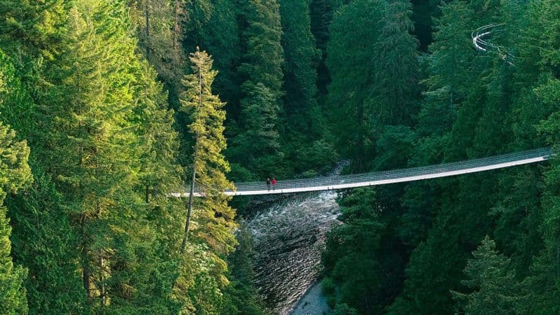 Billets pour le parc du pont suspendu de Capilano