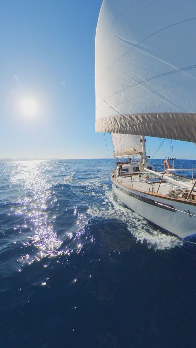 Belliure Endurance 35 (Sailboat)