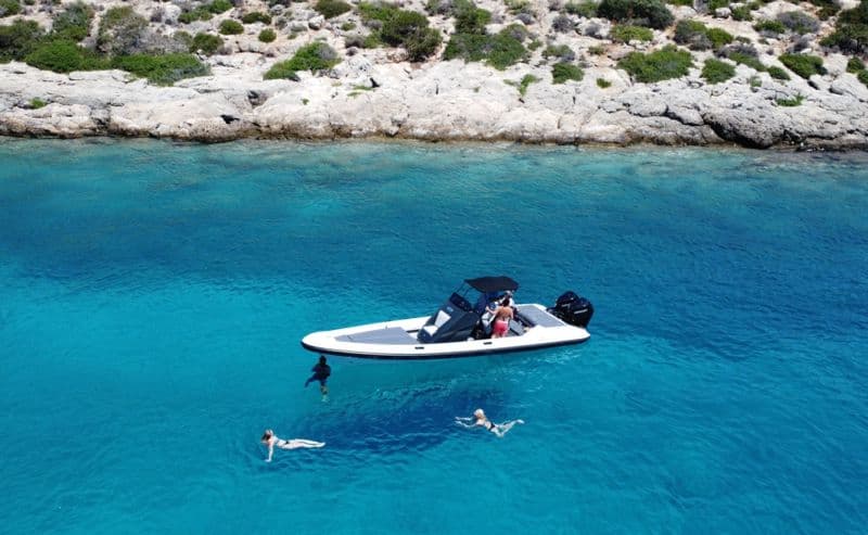 RIBCO S.A. 29 (Semi-rigid)