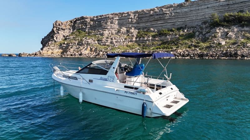 ARCOA 8.25 (Motorboat)