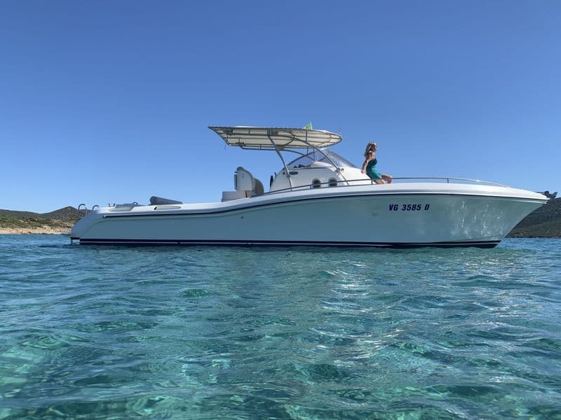 Firebird F36 (Motorboat)