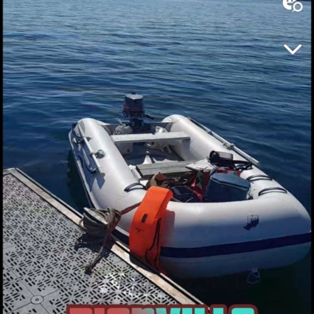 Location de bateau - Zodiac Ocean (Semi-rigid)