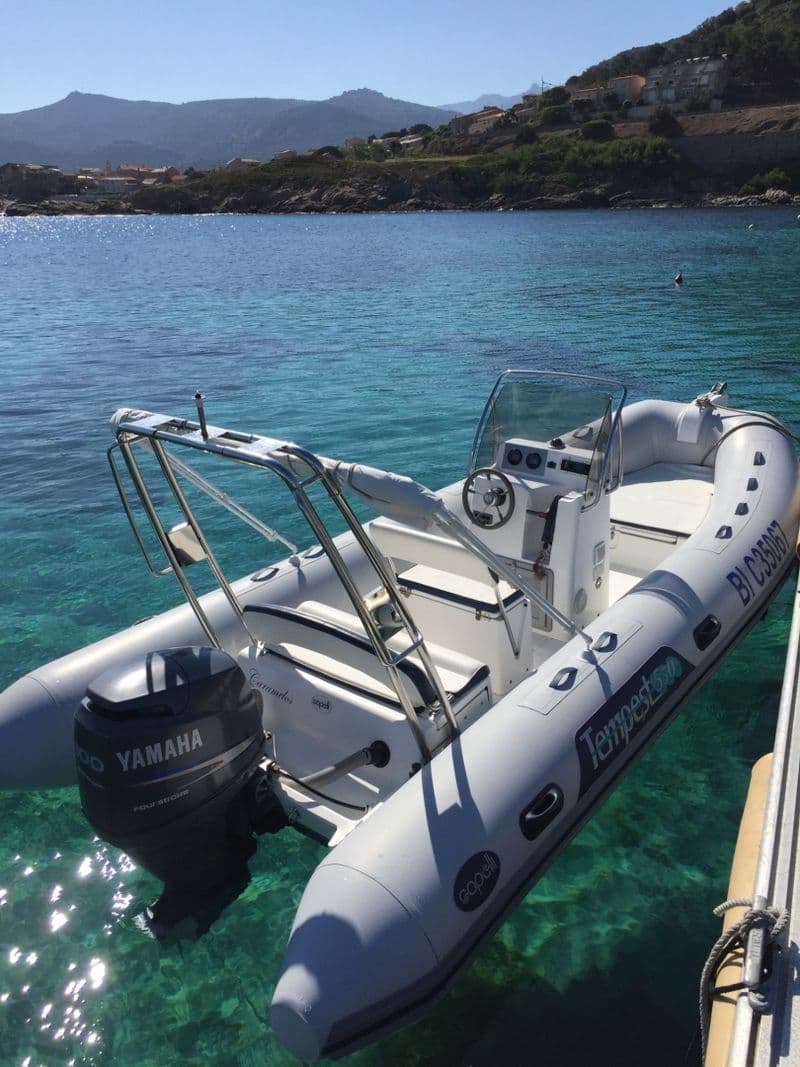 Capelli Tempest 550 (Semi-rigid)