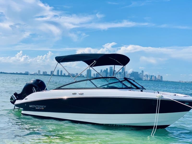 Location de bateau - Monterey M-205 (Motorboat)