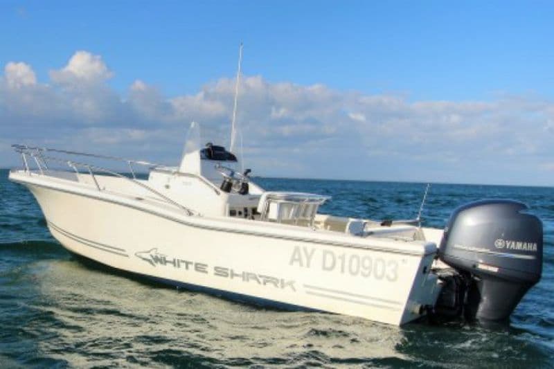 White Shark 205 (Motorboat)