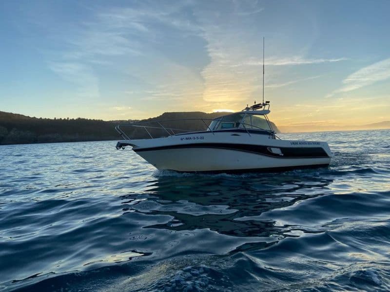 Faeton 780 Moraga (Motorboat)