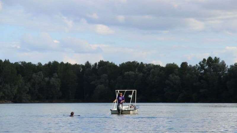 Jeanneau OPEN (Motorboat)