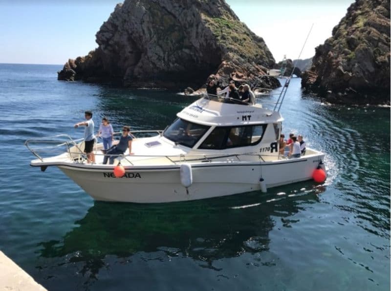 Rodman 1170 (Motorboat)