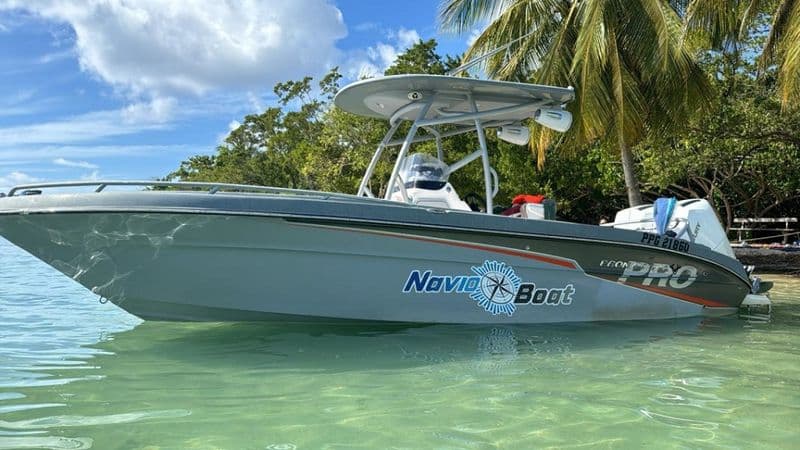 Pronautica 790 Slam (Motorboat)