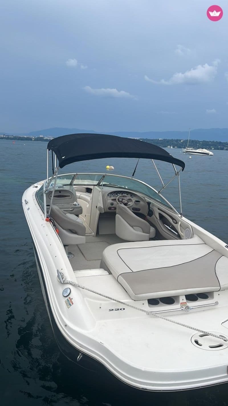 Sea Ray 202 (Motorboat)