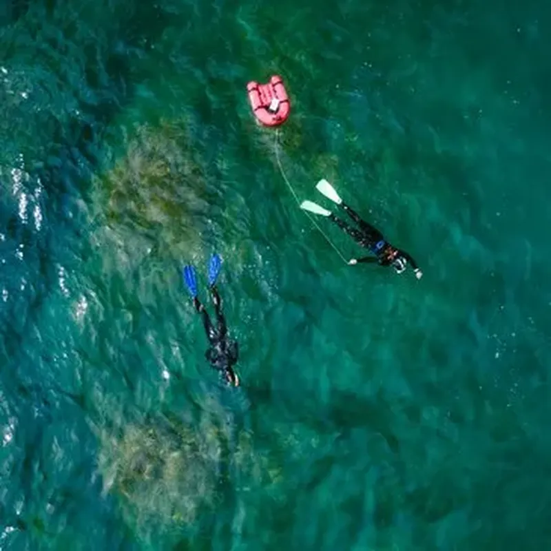 Randonnée Palmée près de Collioure à Argelès-sur-Mer