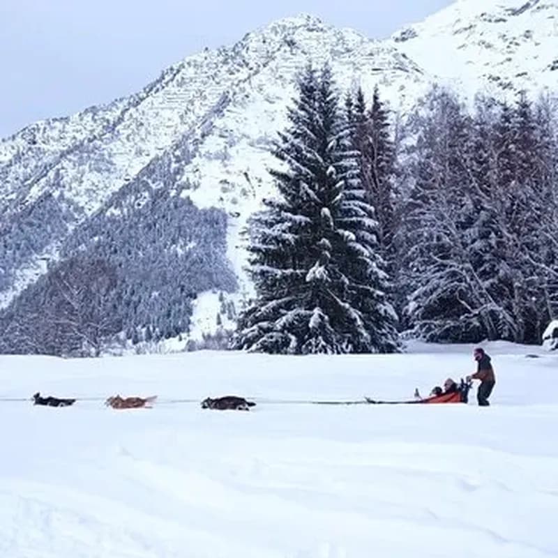Randonnée en Chiens de Traîneau à Barèges