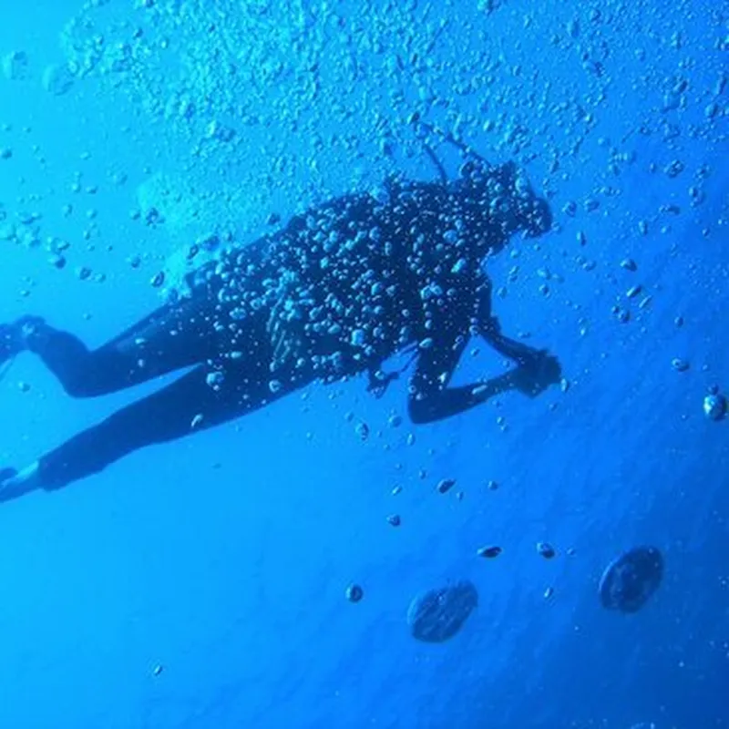 Brevet de Plongée Niveau 1 près de Saulieu