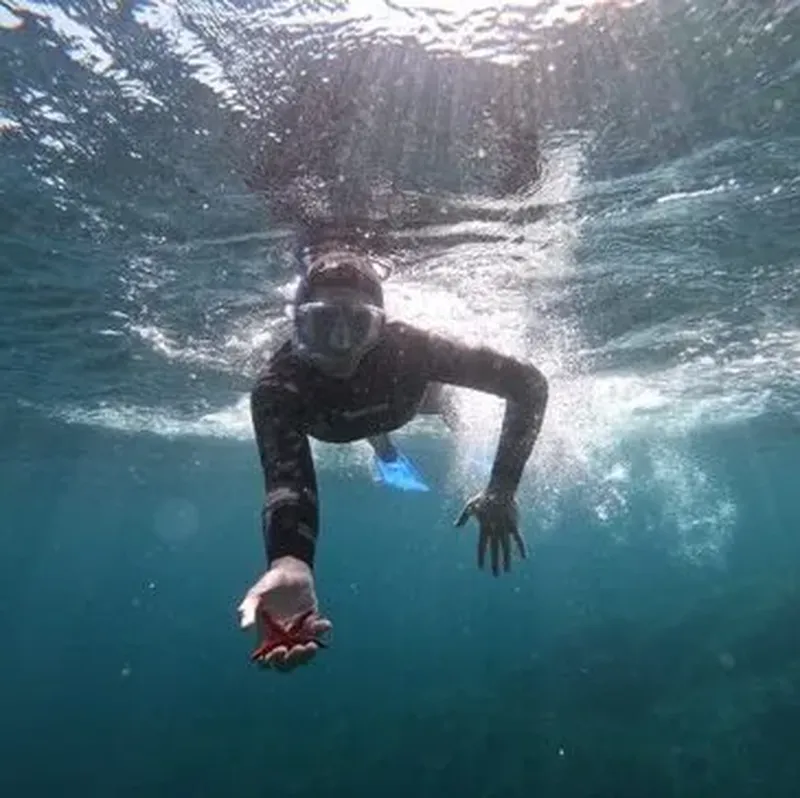 Baptême d'Apnée et Snorkeling à Hyères - Presqu'île de Giens
