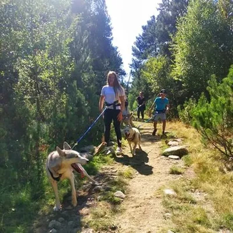 Balade en Cani-Rando dans les Pyrénées Catalanes
