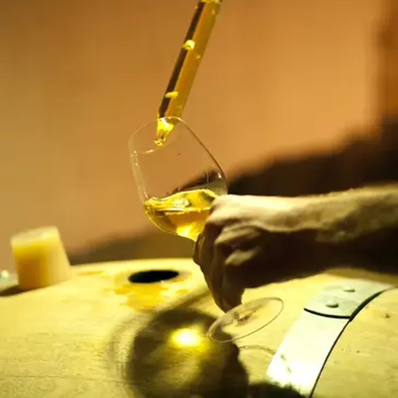 Visite et Dégustation de Vins au Domaine La Grande Maison à Monba