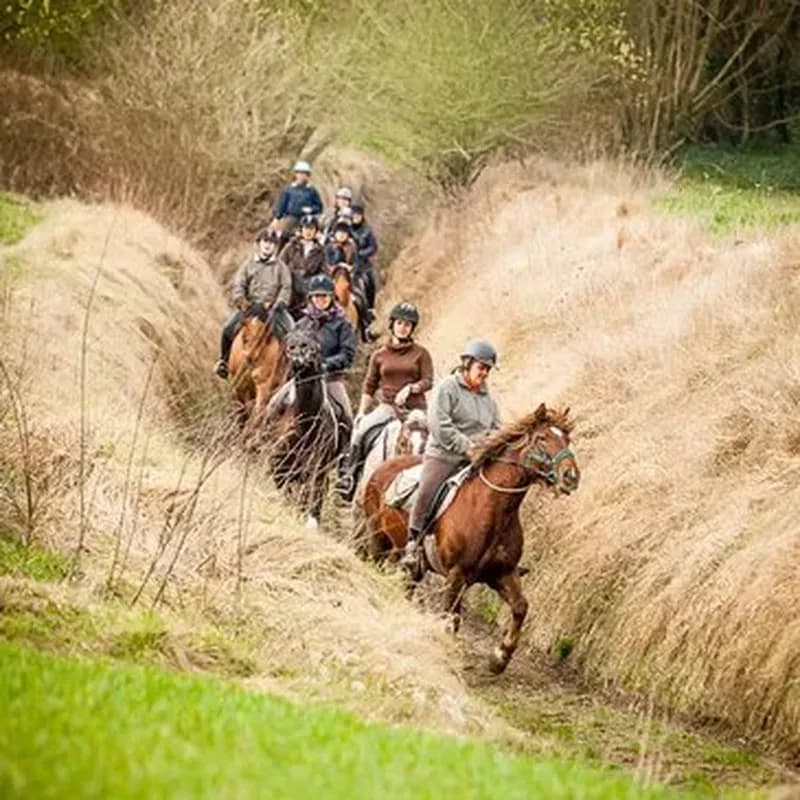 Week end Insolite avec Balade à Cheval en Baie de Somme
