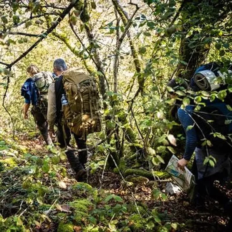 Week-End Stage de Survie à Fontainebleau